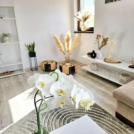 Cozy Sorada 1 Apartment Bragadiru Exterior photo